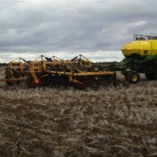 Come By Chance Wheat Crop Trial