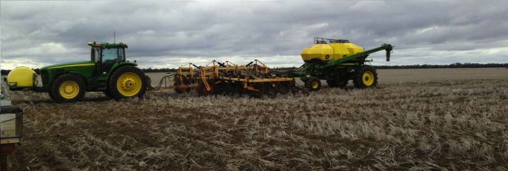 Come By Chance Wheat Crop Trial